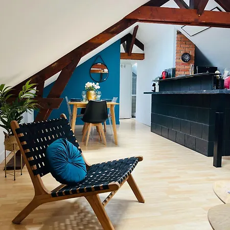 Apartment Le Cocon Bleu T3 Hypercentre Angers