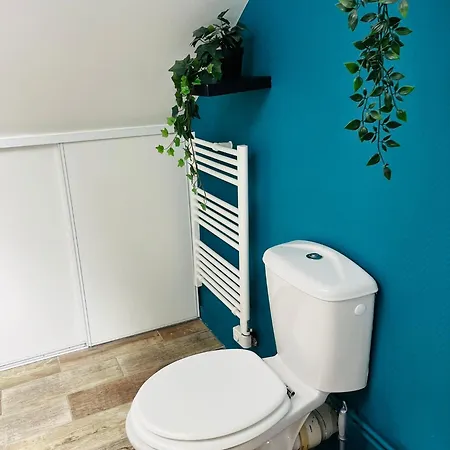 Le Cocon Bleu T3 Hypercentre Apartment